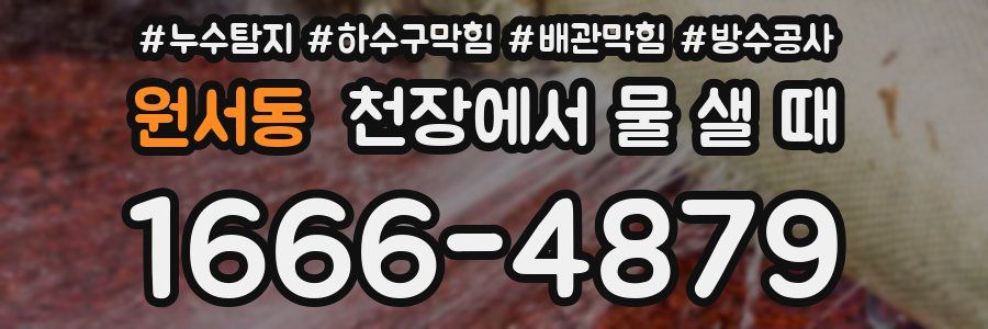 원서동 천장에서 물 샐 때