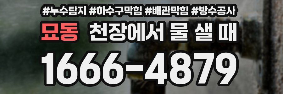 묘동 천장에서 물 샐 때