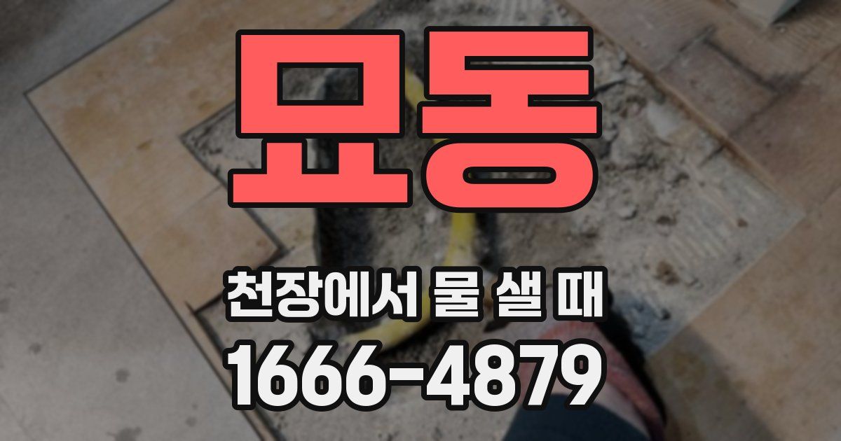 묘동 천장에서 물 샐 때