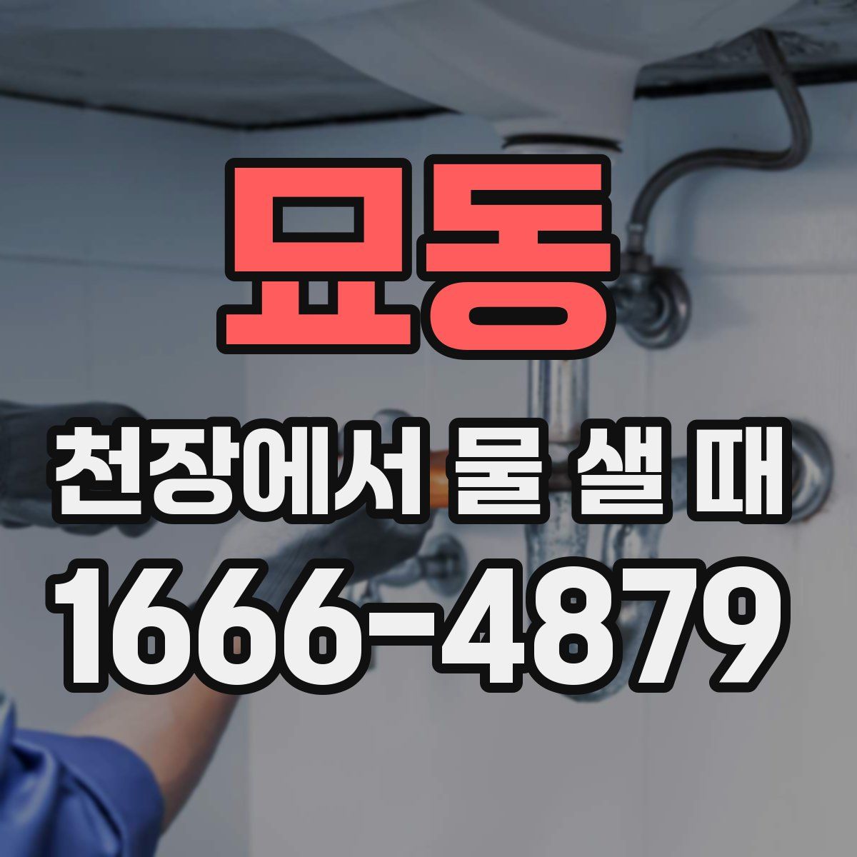 묘동 천장에서 물 샐 때