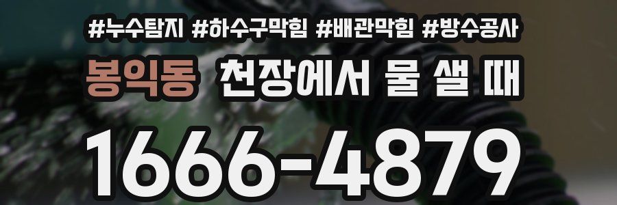 봉익동 천장에서 물 샐 때
