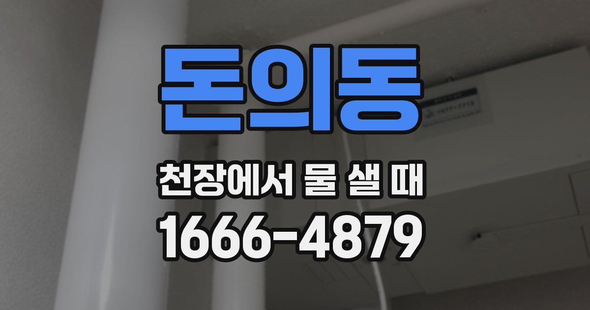 돈의동 천장에서 물 샐 때