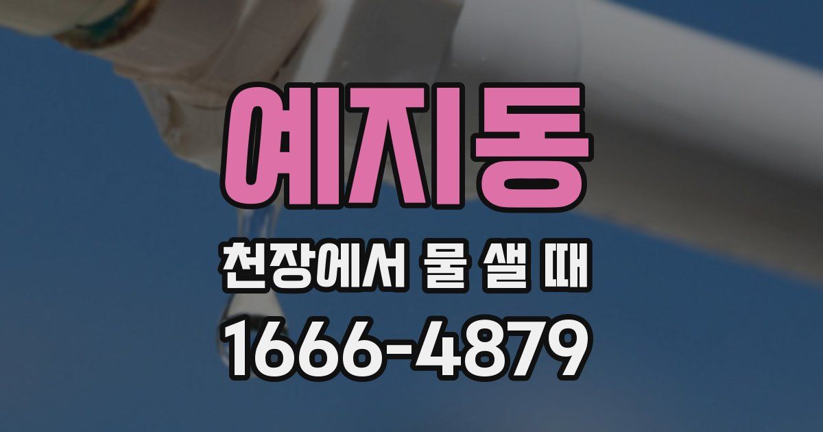 예지동 천장에서 물 샐 때