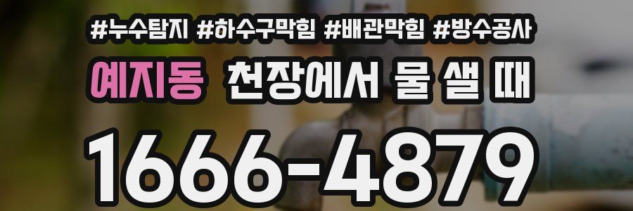 예지동 천장에서 물 샐 때
