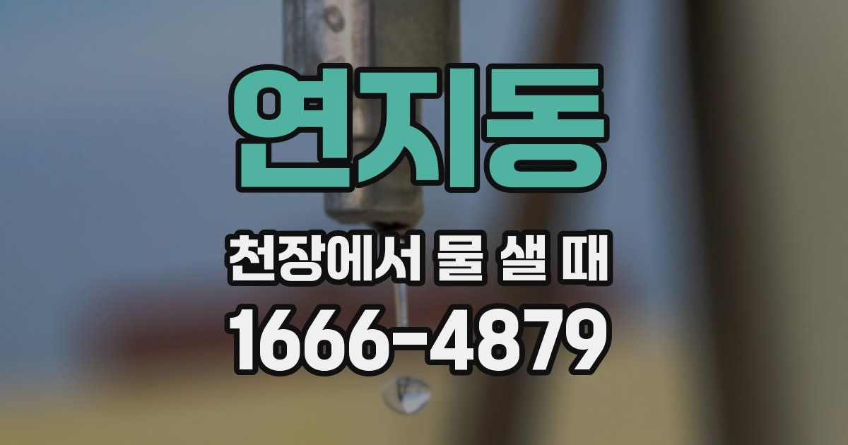 연지동 천장에서 물 샐 때