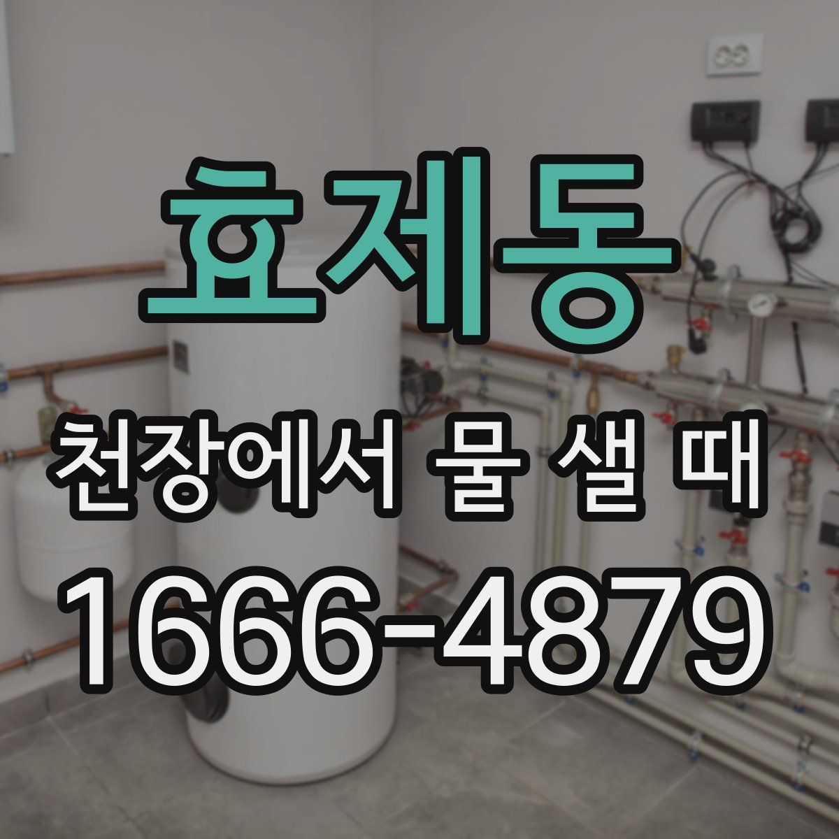효제동 천장에서 물 샐 때