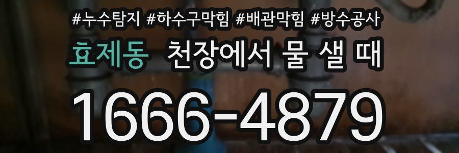 효제동 천장에서 물 샐 때