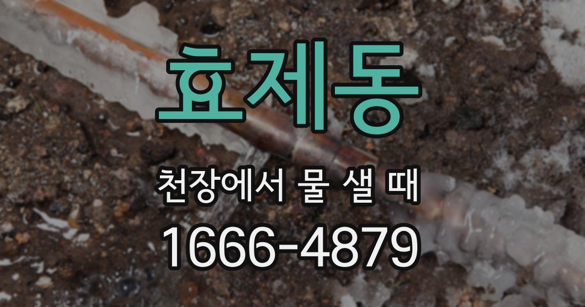 효제동 천장에서 물 샐 때