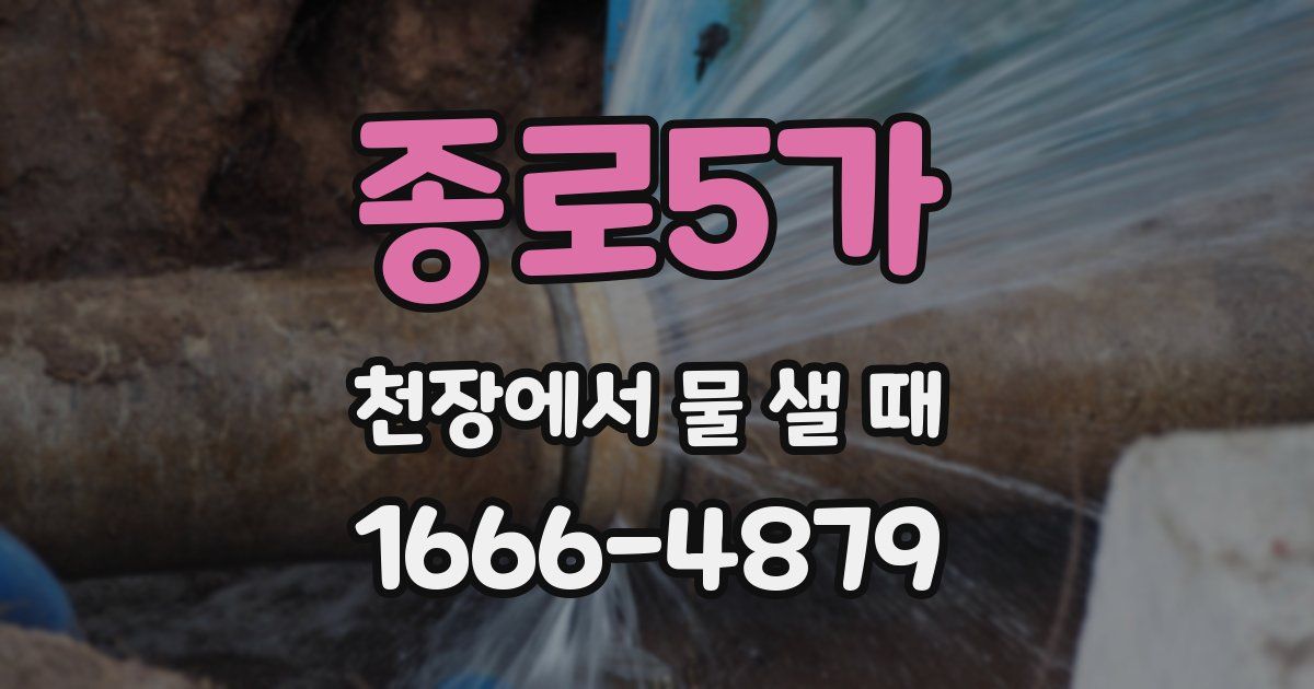 종로5가 천장에서 물 샐 때