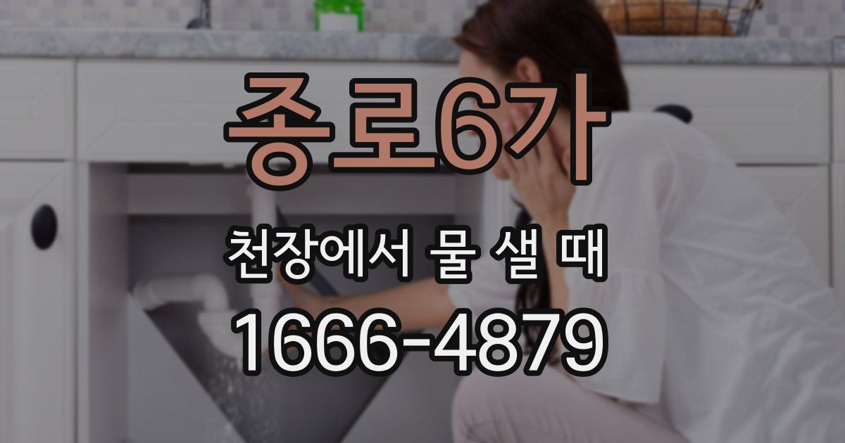 종로6가 천장에서 물 샐 때