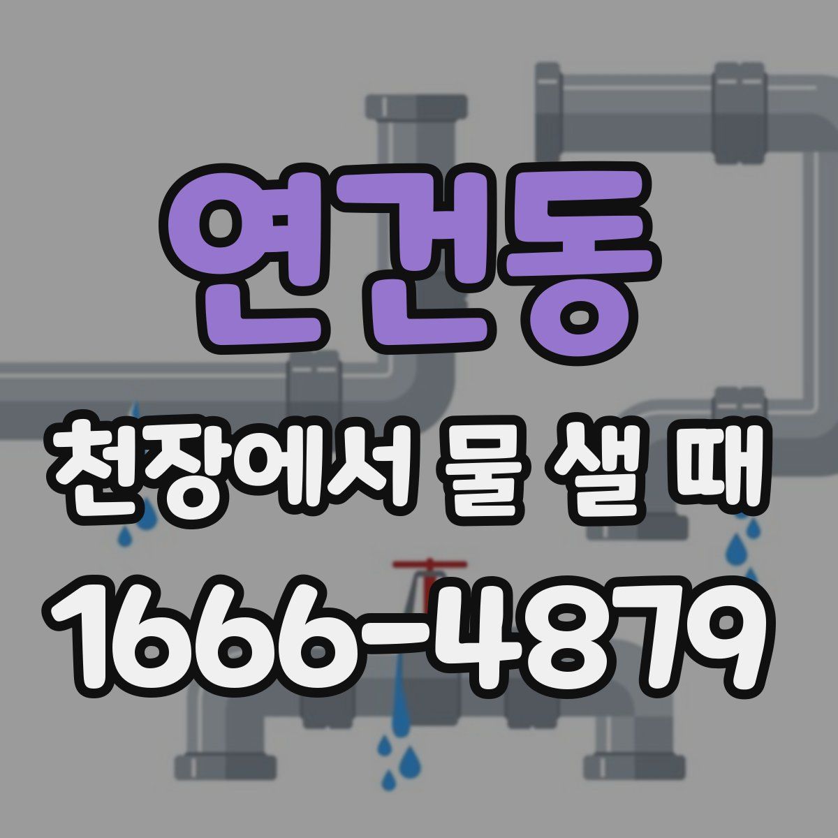연건동 천장에서 물 샐 때
