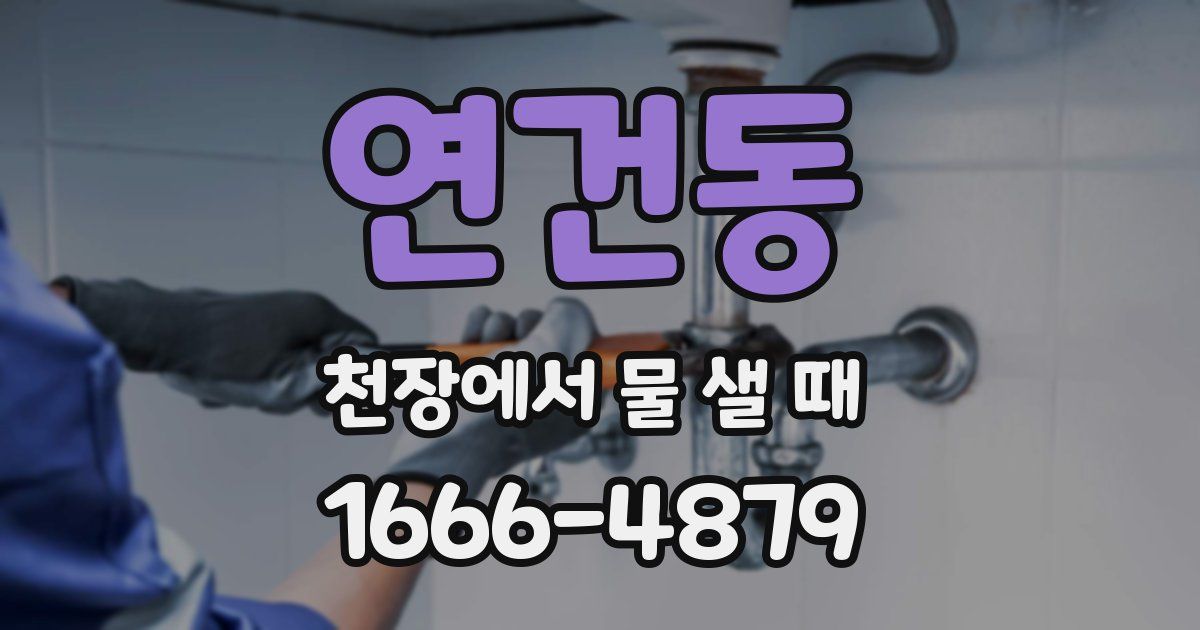 연건동 천장에서 물 샐 때