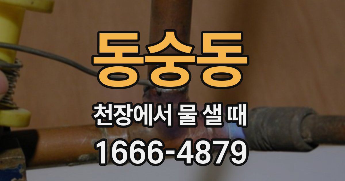 동숭동 천장에서 물 샐 때