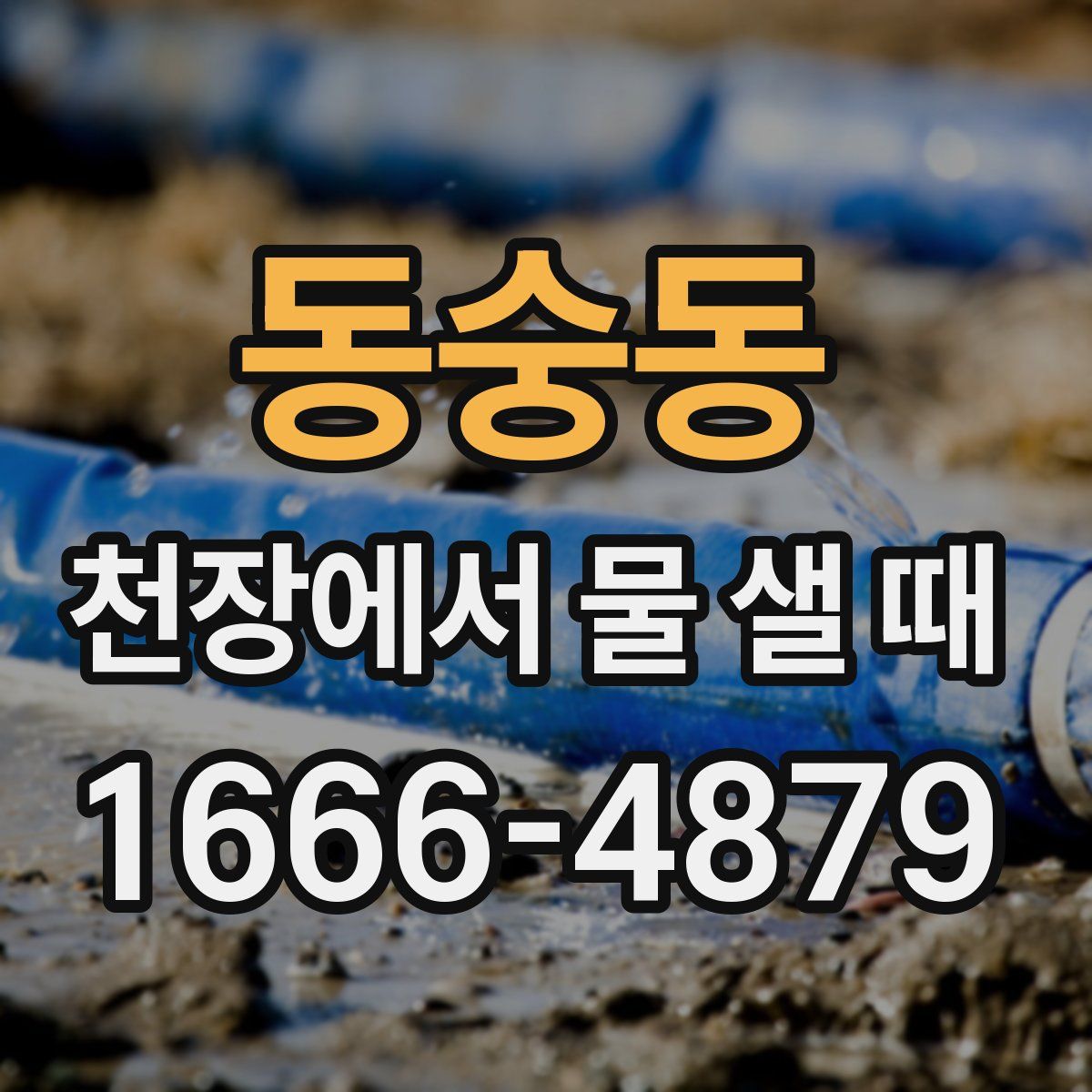 동숭동 천장에서 물 샐 때
