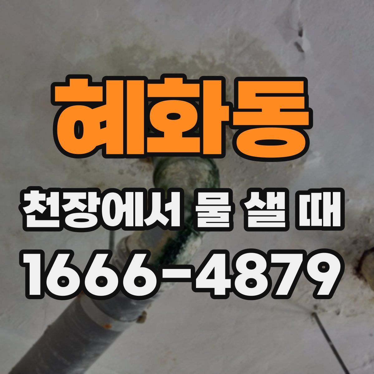 혜화동 천장에서 물 샐 때