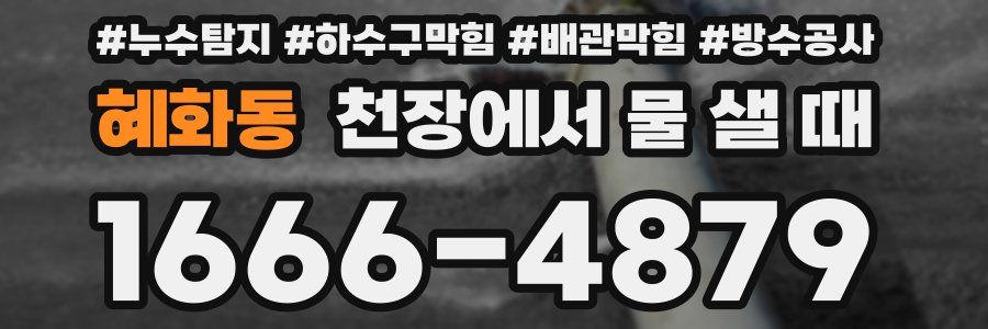 혜화동 천장에서 물 샐 때