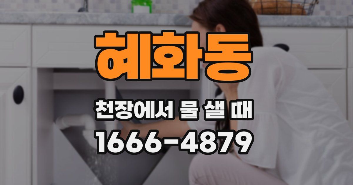 혜화동 천장에서 물 샐 때