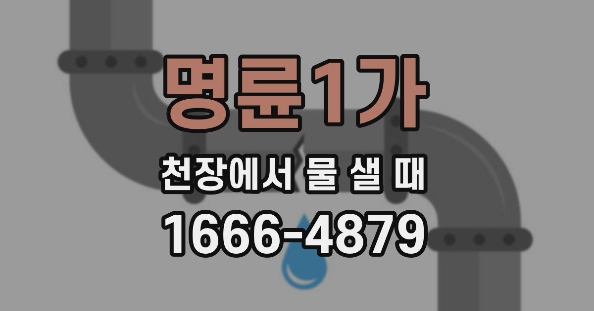 명륜1가 천장에서 물 샐 때