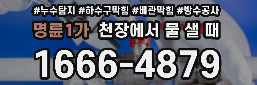 명륜1가 천장에서 물 샐 때