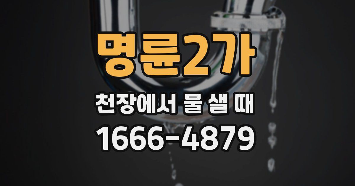 명륜2가 천장에서 물 샐 때