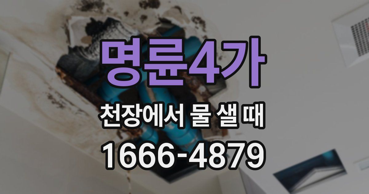 명륜4가 천장에서 물 샐 때