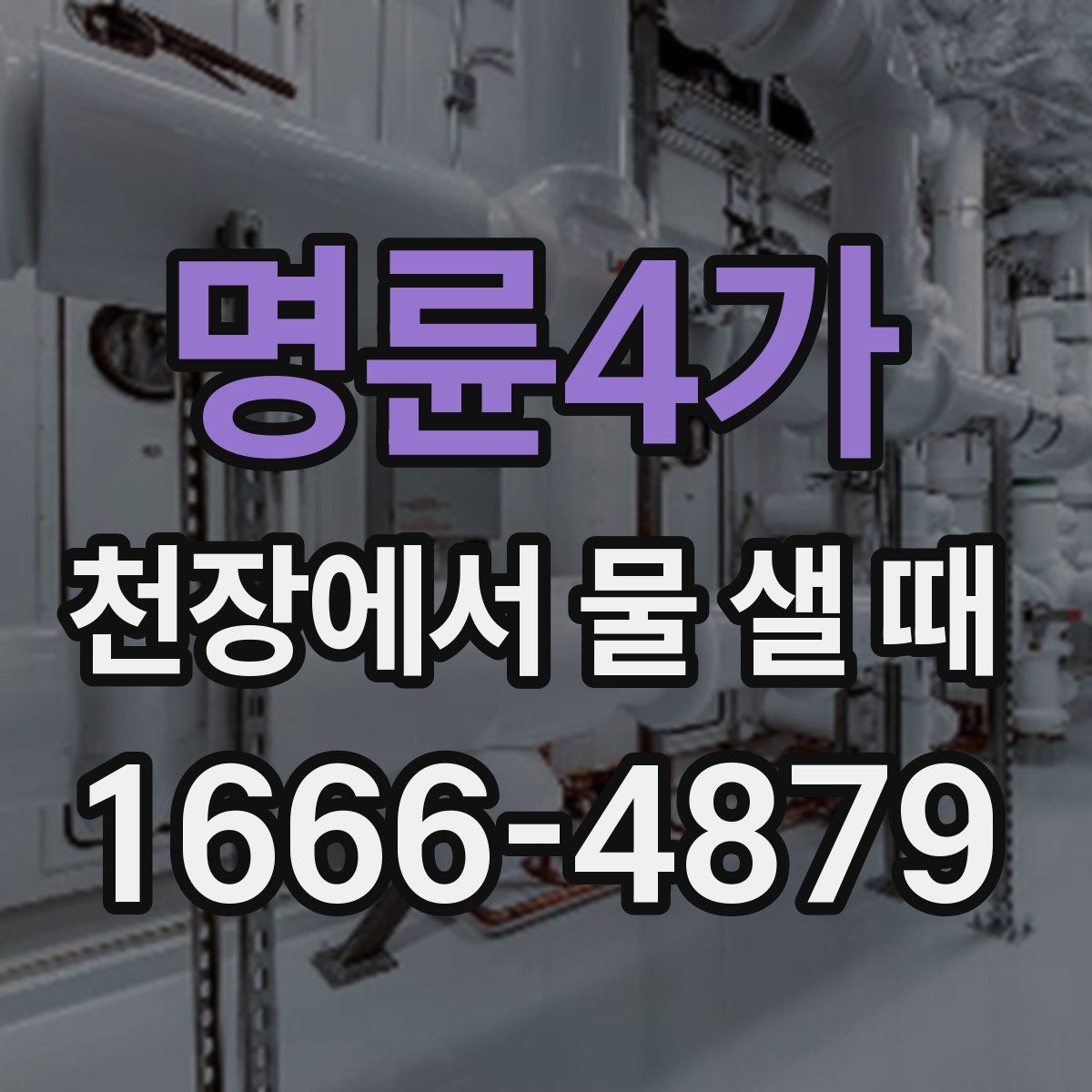 명륜4가 천장에서 물 샐 때