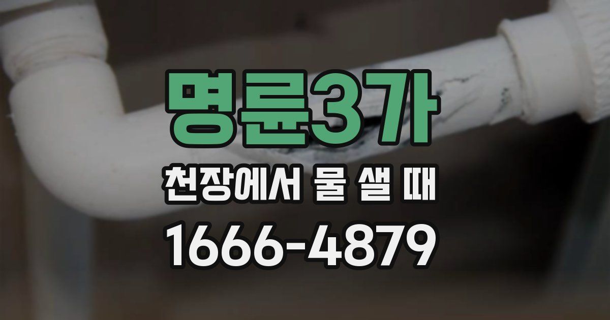 명륜3가 천장에서 물 샐 때
