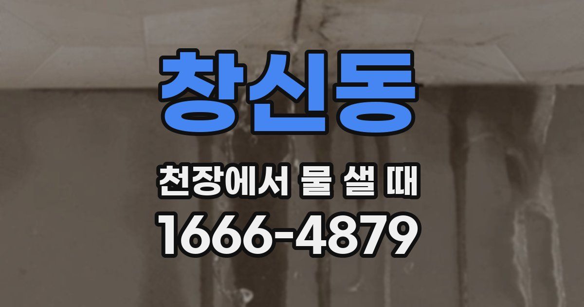 창신동 천장에서 물 샐 때