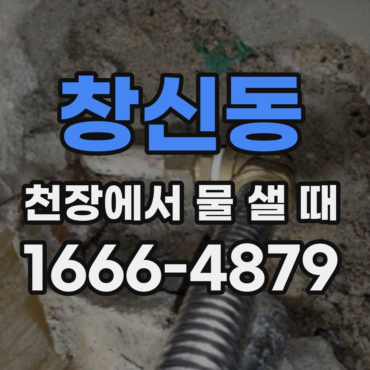 창신동 천장에서 물 샐 때