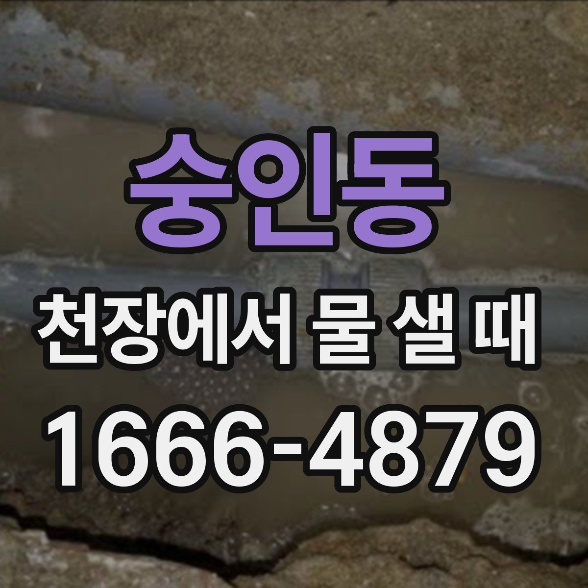 숭인동 천장에서 물 샐 때