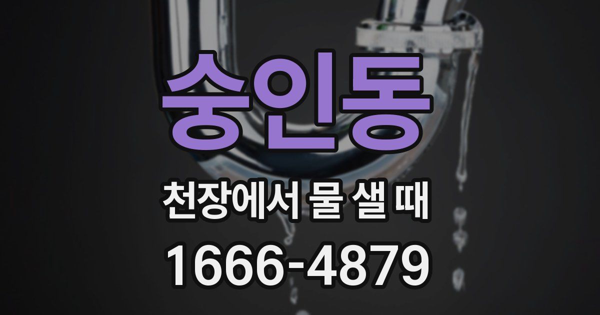 숭인동 천장에서 물 샐 때