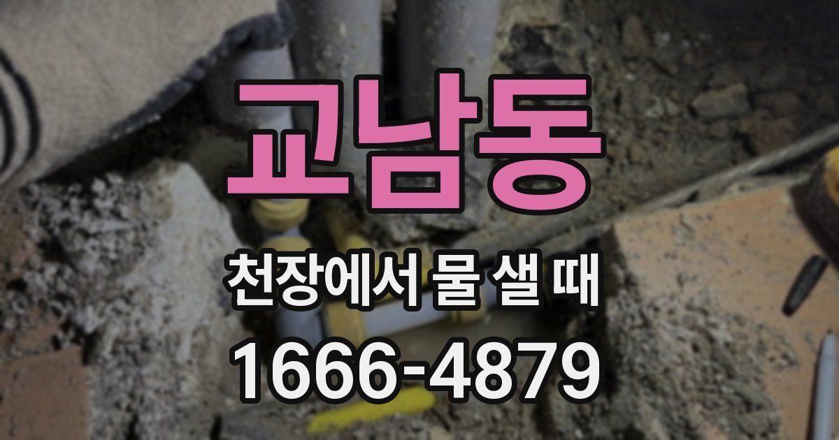 교남동 천장에서 물 샐 때