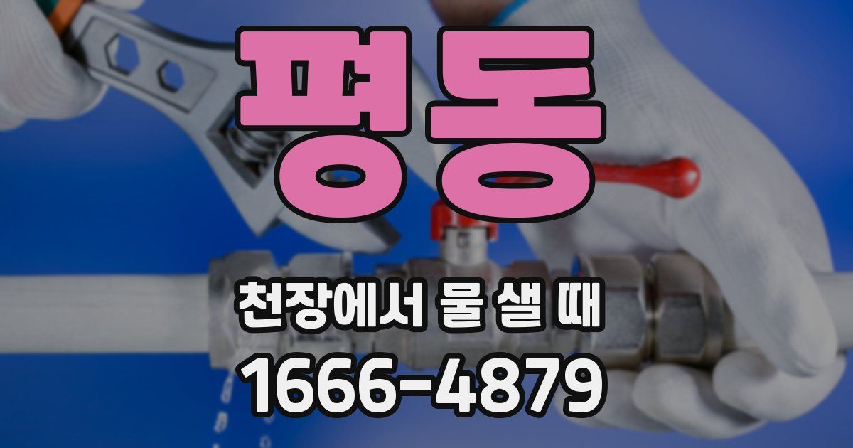 평동 천장에서 물 샐 때