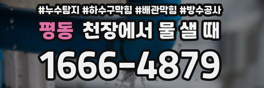 평동 천장에서 물 샐 때
