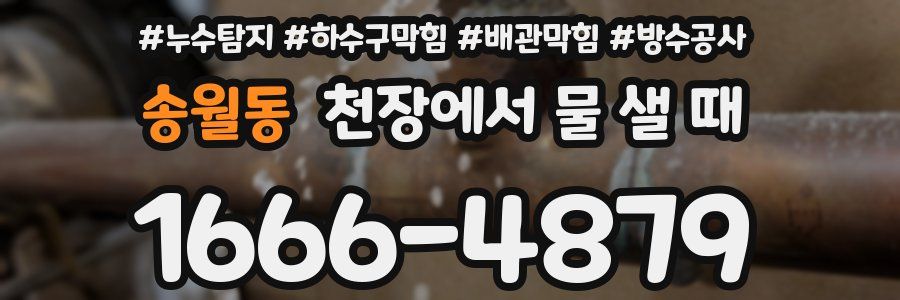 송월동 천장에서 물 샐 때
