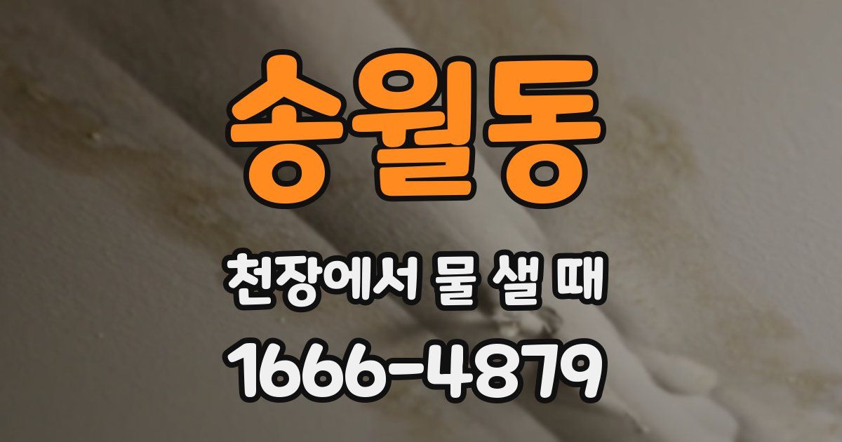 송월동 천장에서 물 샐 때