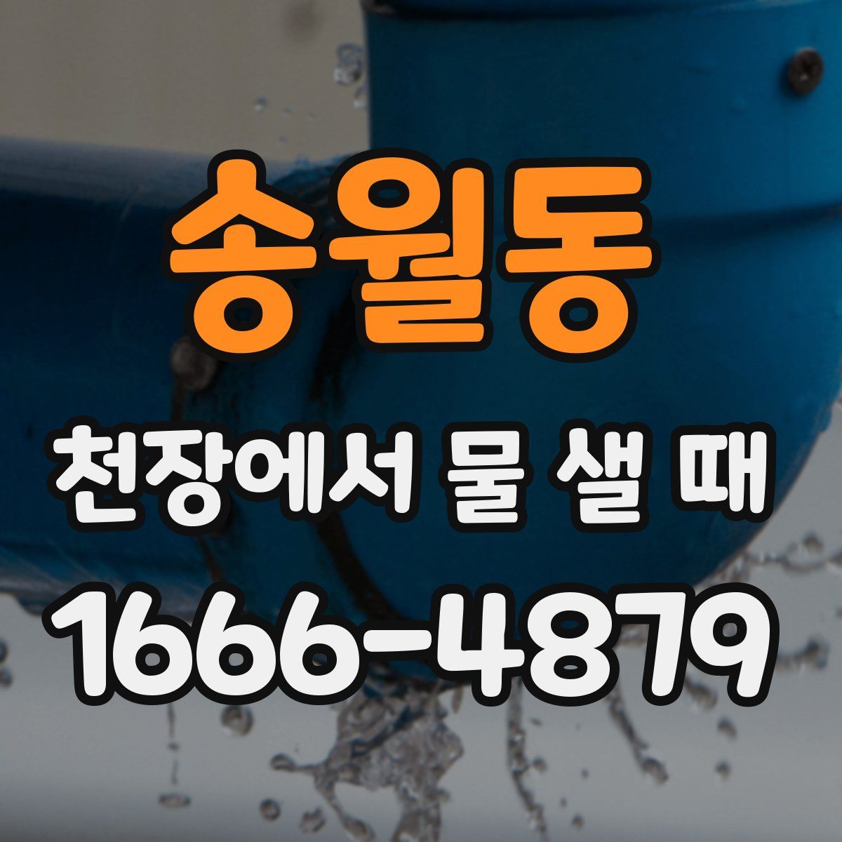 송월동 천장에서 물 샐 때