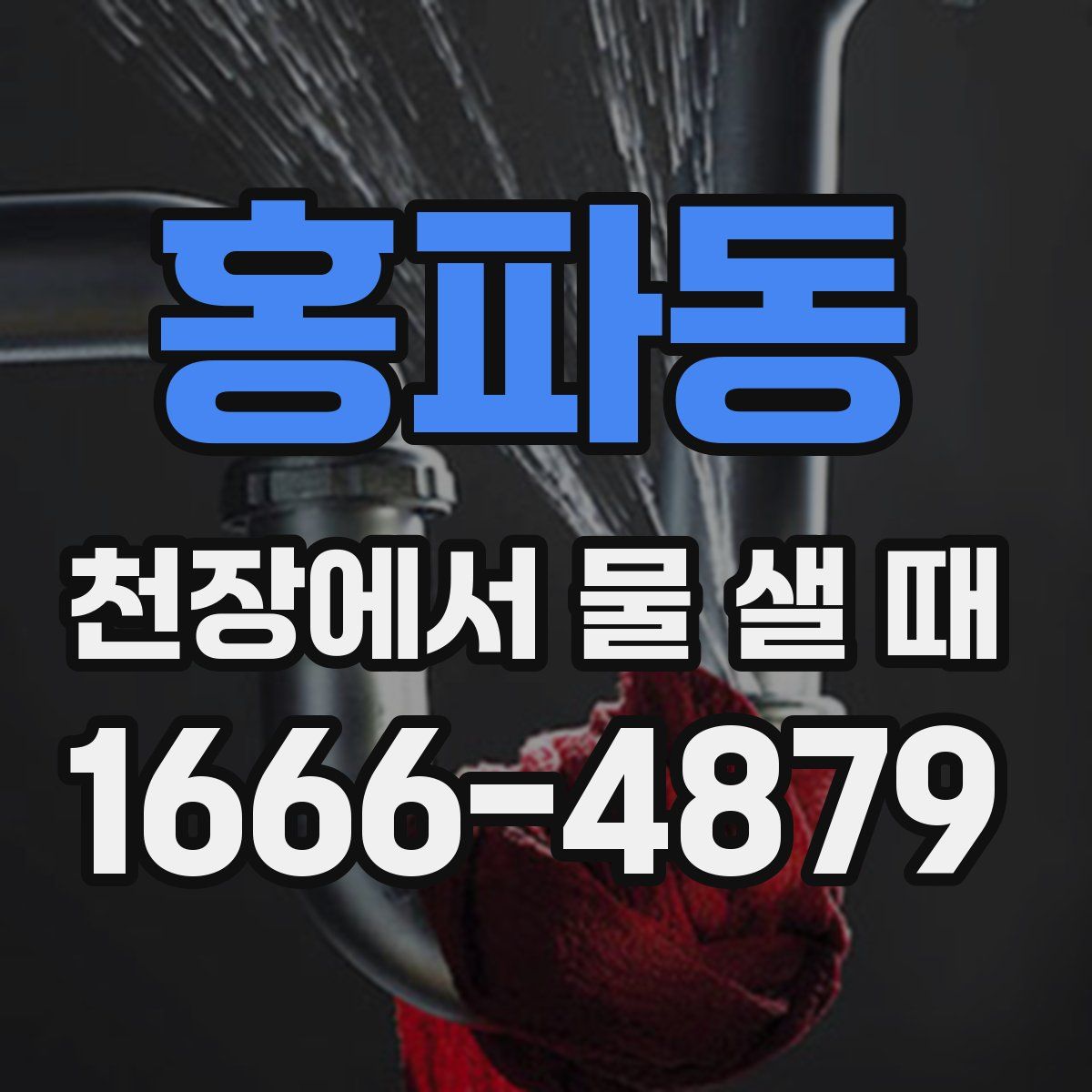 홍파동 천장에서 물 샐 때
