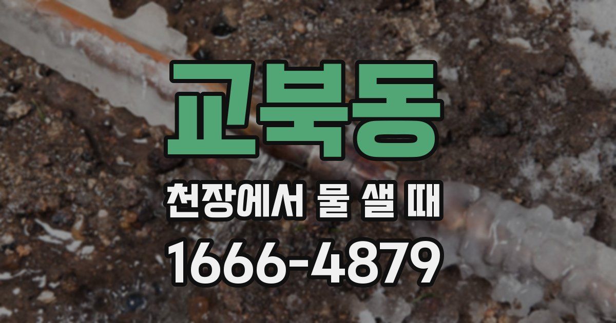 교북동 천장에서 물 샐 때