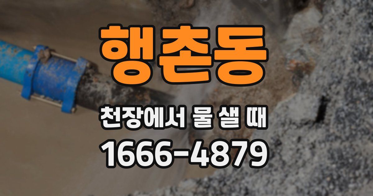 행촌동 천장에서 물 샐 때