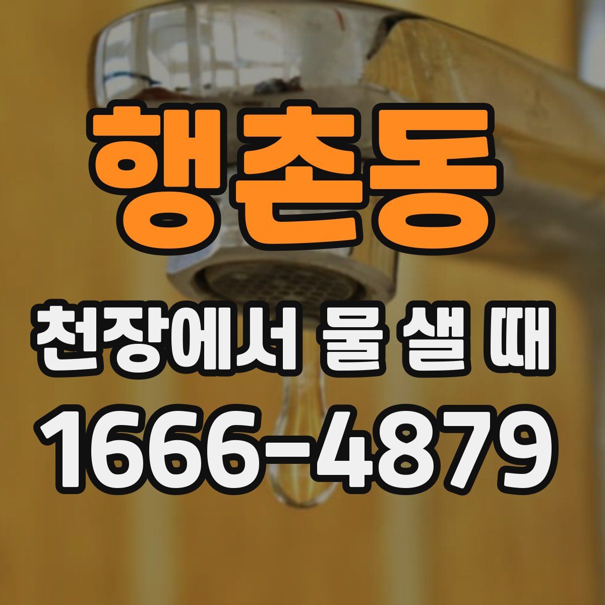 행촌동 천장에서 물 샐 때