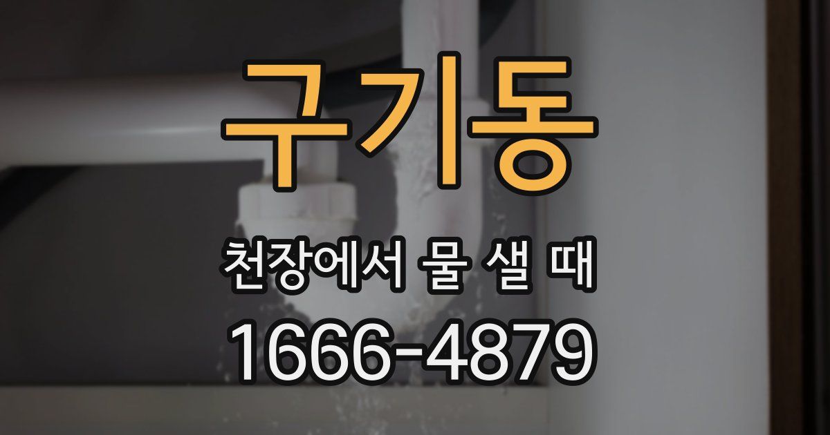 구기동 천장에서 물 샐 때