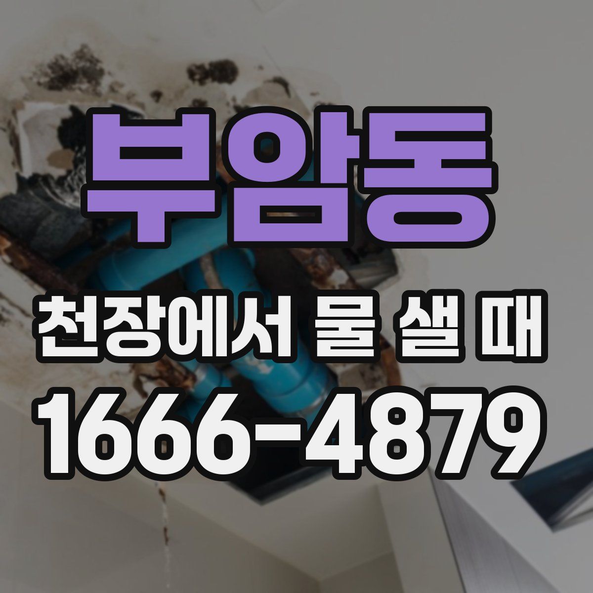 부암동 천장에서 물 샐 때