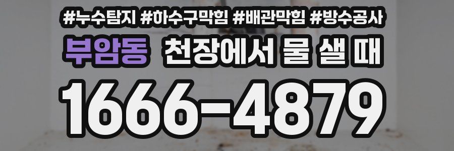 부암동 천장에서 물 샐 때