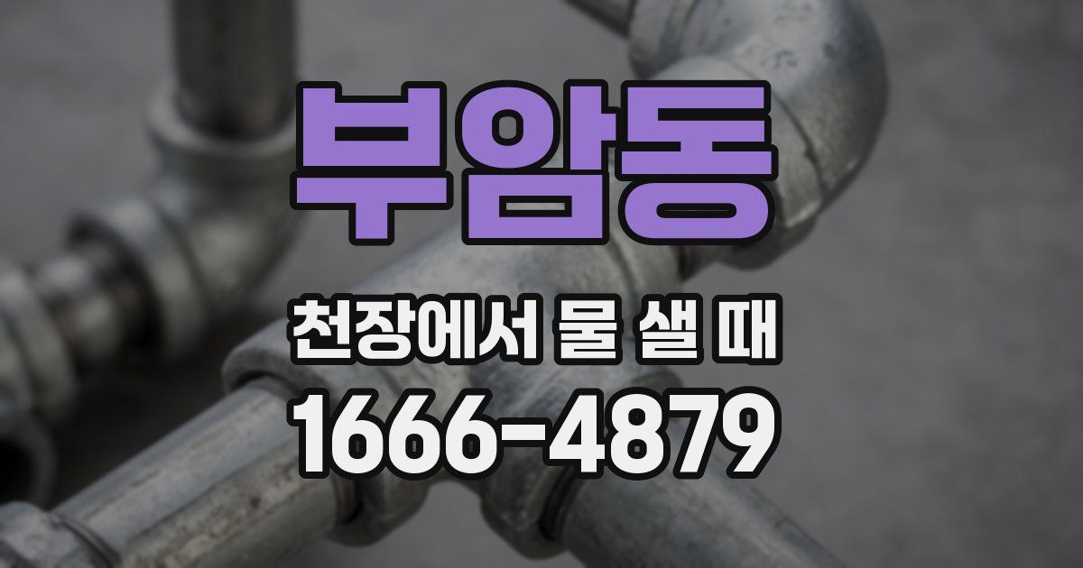 부암동 천장에서 물 샐 때