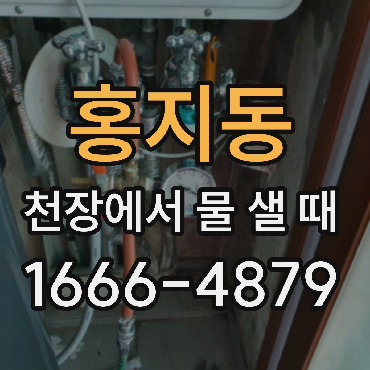 홍지동 천장에서 물 샐 때