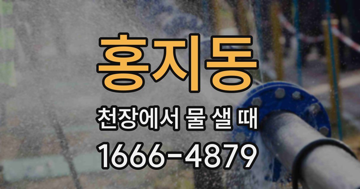 홍지동 천장에서 물 샐 때