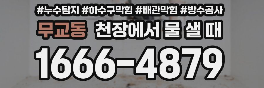 무교동 천장에서 물 샐 때