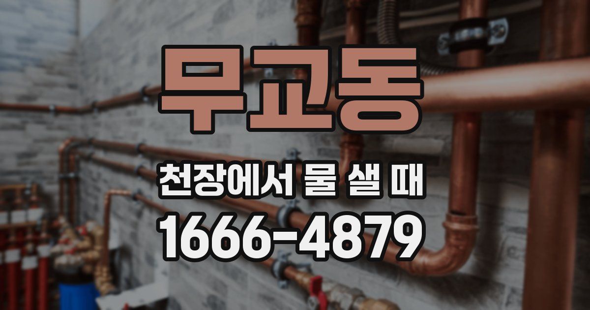 무교동 천장에서 물 샐 때