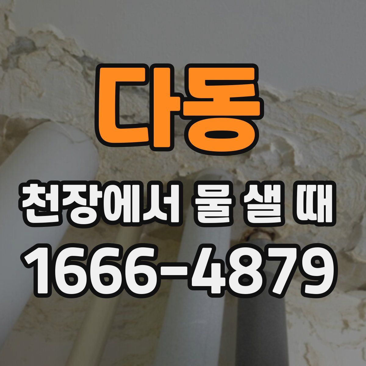 다동 천장에서 물 샐 때